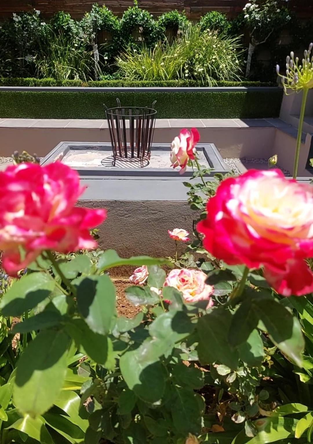 Bed and Breakfast Bella Rosa Potchefstroom Exterior foto